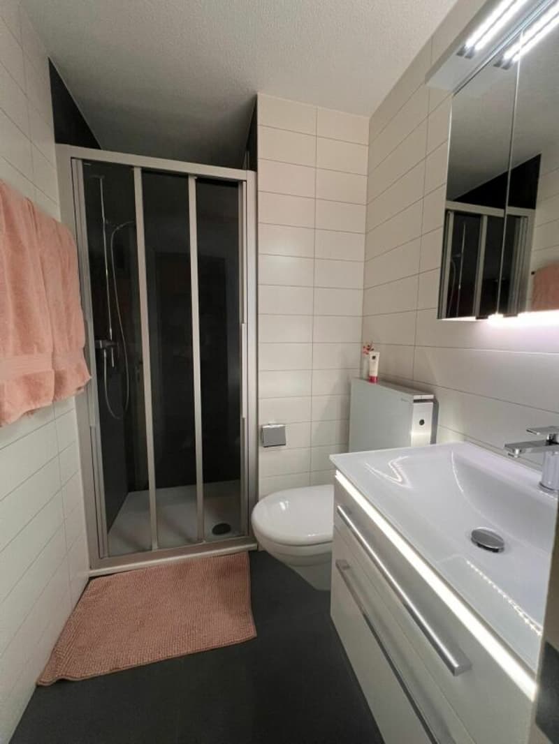 Morderne 5½-Zimmerwohnung in einem ruhigen Quartier (8)