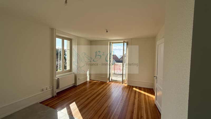 Appartement de 3.5 pièces avec vue (2)