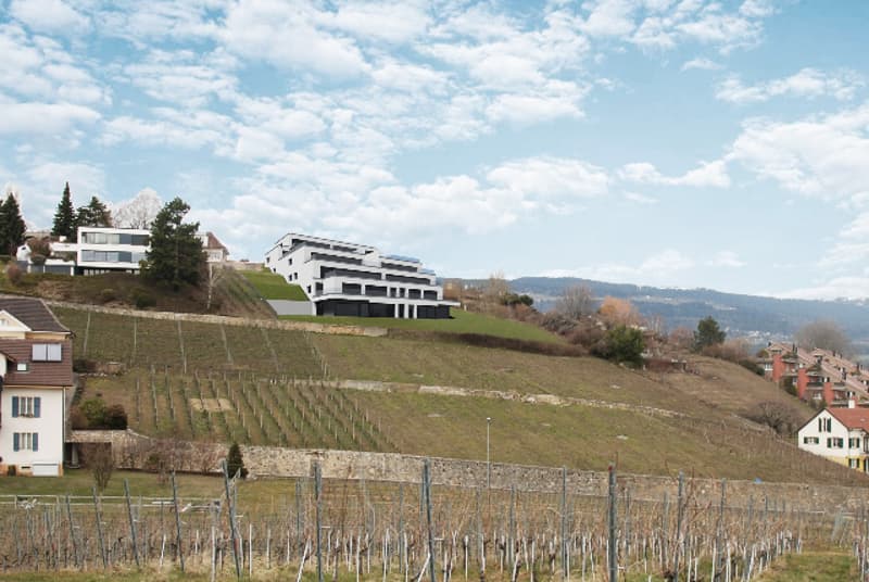 Les terrasses de Sachet, villas de 5.5 pièces à Cortaillod (4)