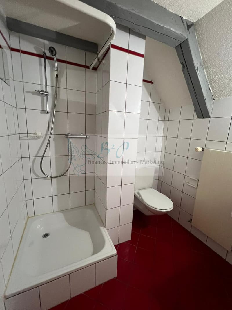 Appartement en duplex de 5.5 pièces à La Chaux-de-Fonds (12)