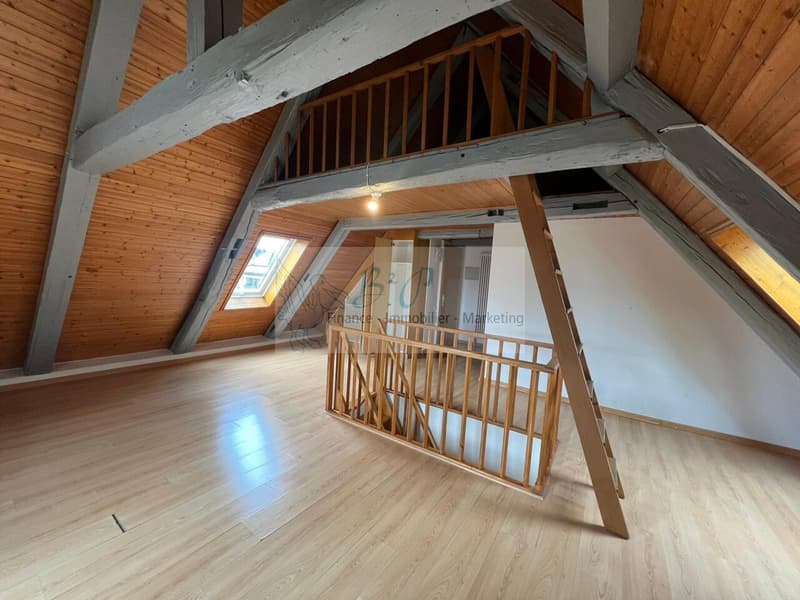Appartement en duplex de 5.5 pièces à La Chaux-de-Fonds (8)