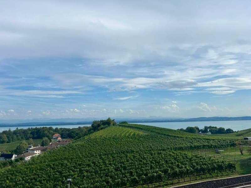 Les terrasses de Sachet, villas de 5.5 pièces à Cortaillod (13)