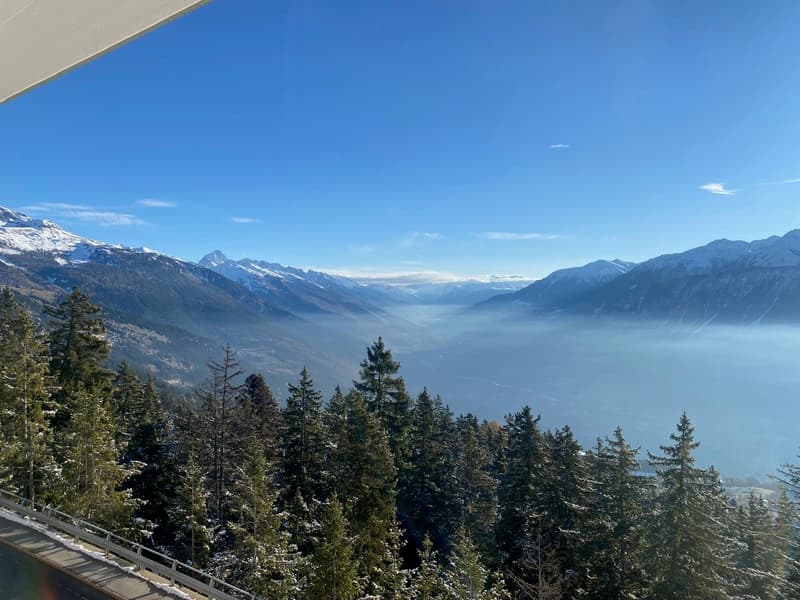 Mountains, trees, snow, clear sky, valley, fog