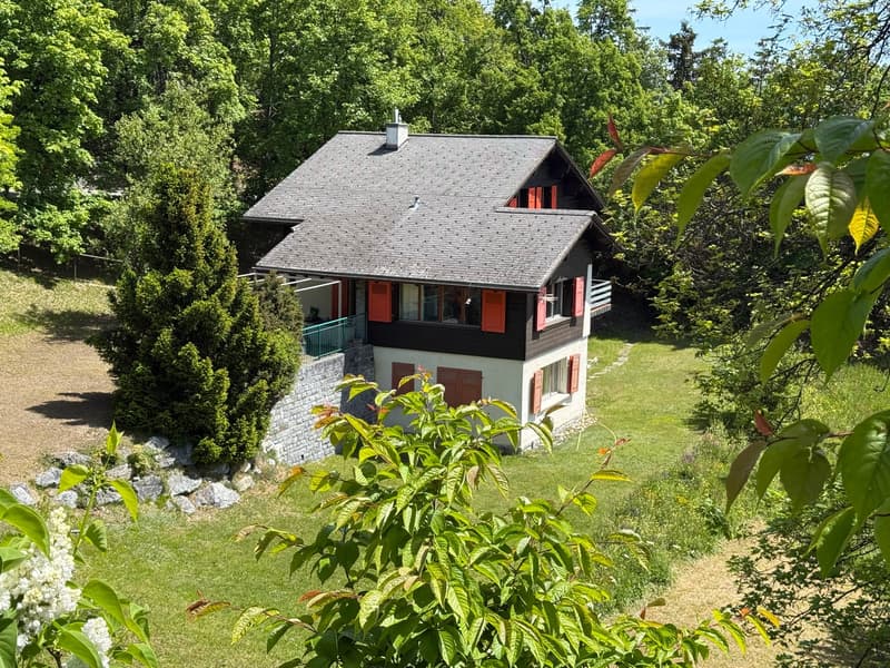 Chalet Pigwood, Blûche (Ref: 6650) (16)