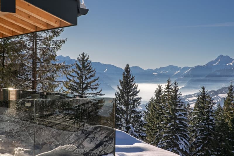 Glass wall, snow-covered mountains, pine trees, clear blue sky