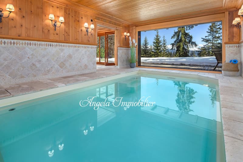 Indoor swimming pool, wooden walls, large windows, outdoor view, decorative plants, wooden chair, tiled floor
