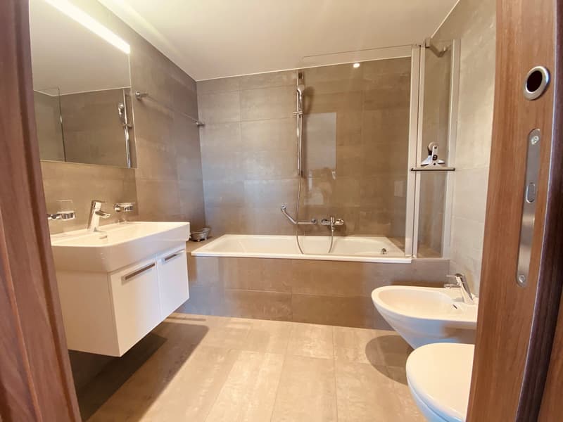 modern bathroom with bathtub, shower, sink, mirror, and toilet