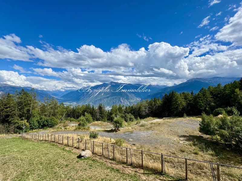 Ampio appartamento di 5 locali con vista mozzafiato sulle Alpi a Crans-Montana (5)