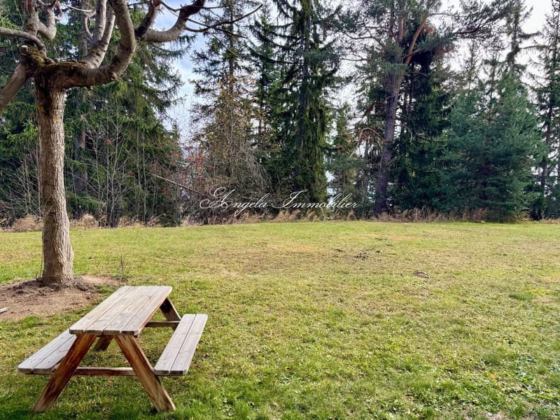 Open grassy field with a wooden picnic table, large tree, and mature trees.