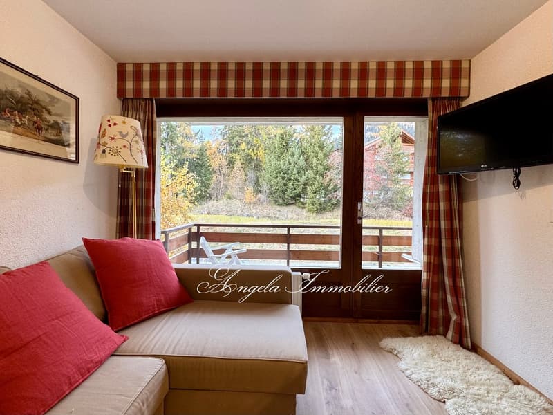 sofa, red pillows, floor lamp, TV, rug, framed picture, balcony, large windows