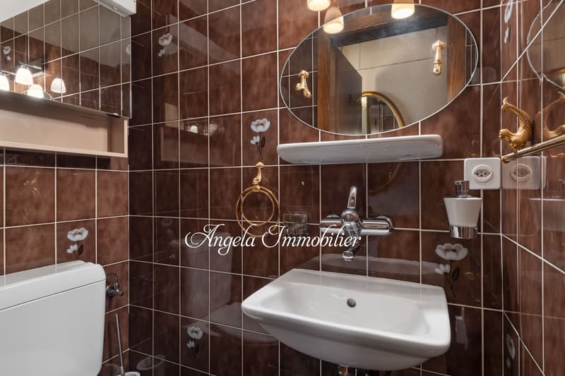 Brown tiled walls, white toilet, white sink with mirror above, brass fixtures, mirror above sink, power outlet mounted on wall, decorative wall features