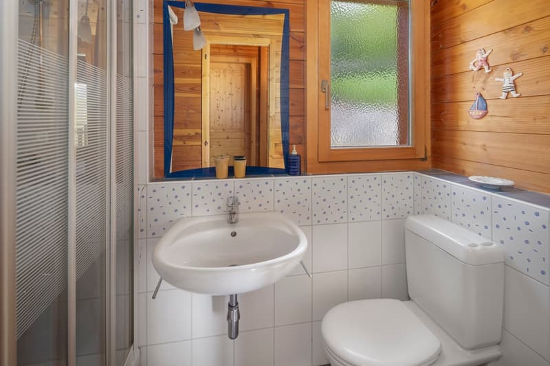 Charming 3 bedroom Chalet in les Briesses (14)