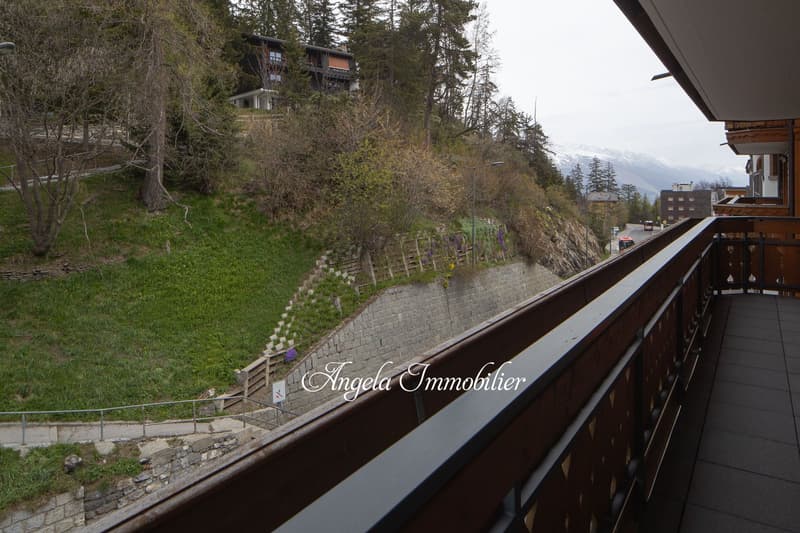 Les Asters Annual Rent center CHF 4'200. per month (18)