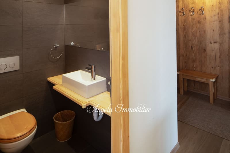 Les Asters Annual Rent center CHF 4'200. per month (9)