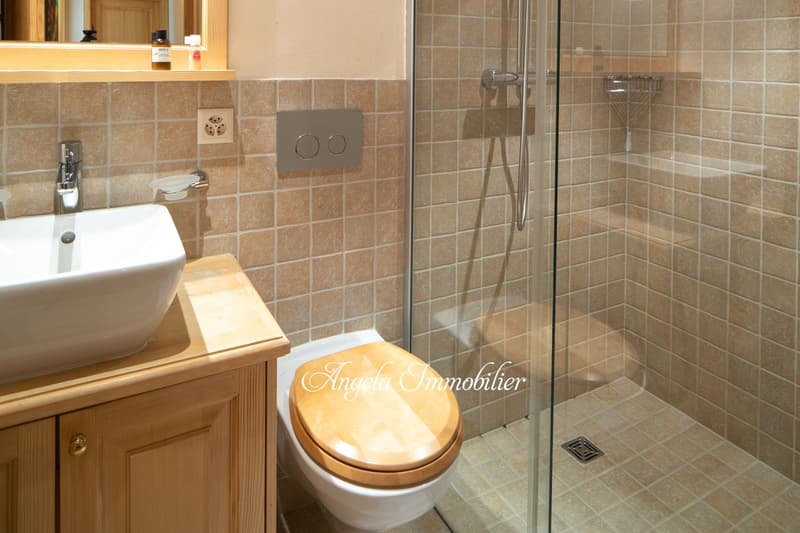 Les Asters Annual Rent center CHF 4'200. per month (12)