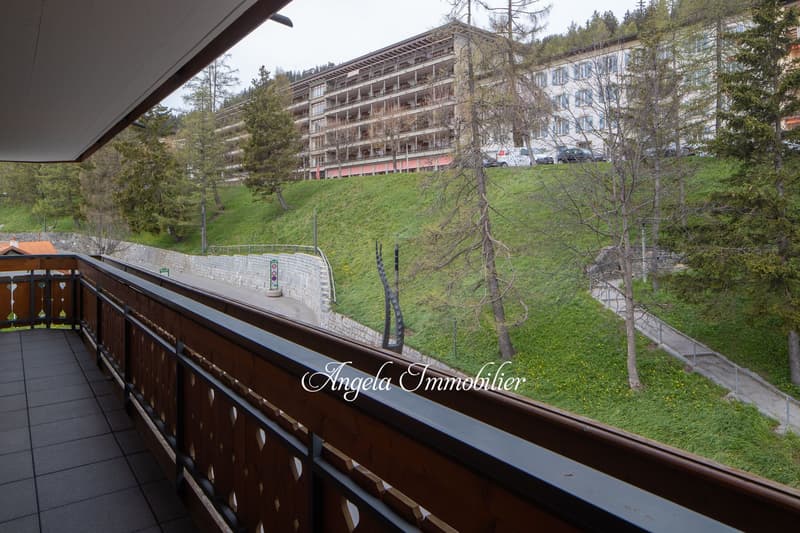 Les Asters Annual Rent center CHF 4'200. per month (17)