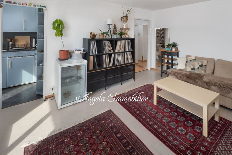 Möblierte 3.5-Zimmer-Wohnung mit atemberaubendem Bergpanorama in Crans-Montana (3)