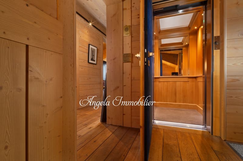 Stunning 5.5-Room Attic Apartment (6)