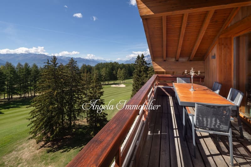 Stunning 5.5-Room Attic Apartment (13)