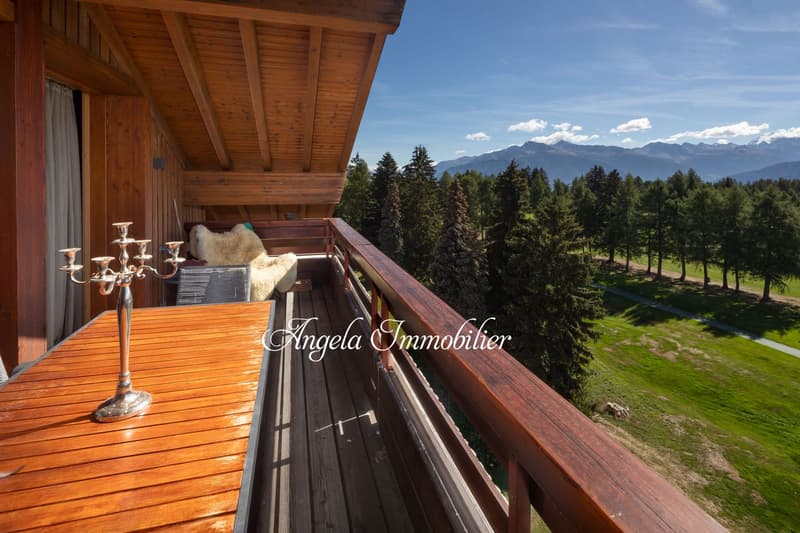 Stunning 5.5-Room Attic Apartment (12)