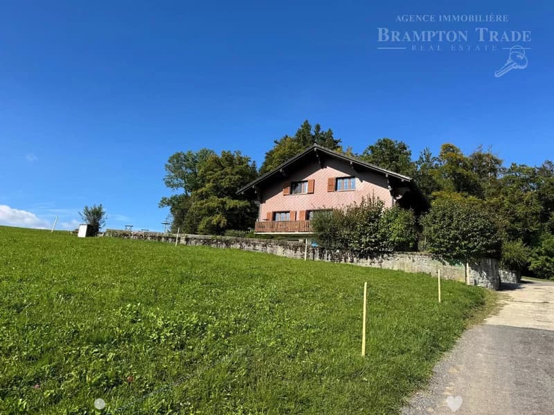 Charaktervolles 6,5-Zimmer-Chalet in Remaufens (1)
