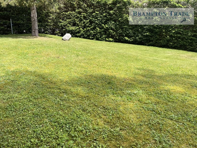 Unique property of 429m2 - St-Cergue (7)