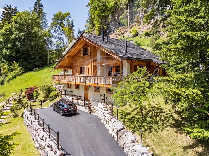 Exklusive Liste in St-Cergue | Charakter Chalet in einer bevorzugten erhöhten Position (2)