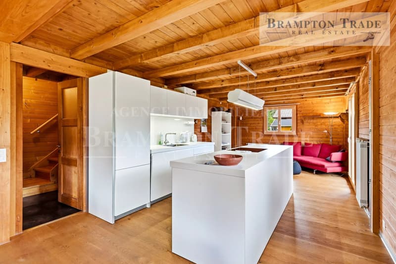 Schönes 5.5-Zimmer-Chalet, Wohngegend (3)