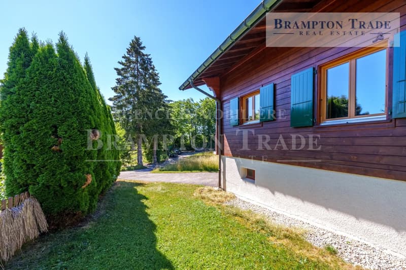 Schönes 5.5-Zimmer-Chalet, Wohngegend (11)