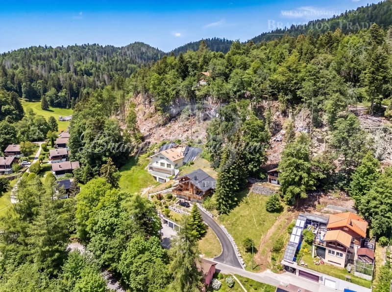Exclusive & Rare Listing Saint-Cergue?La Côte | Family chalet with 240 m² of usable space, peace and nature (4)