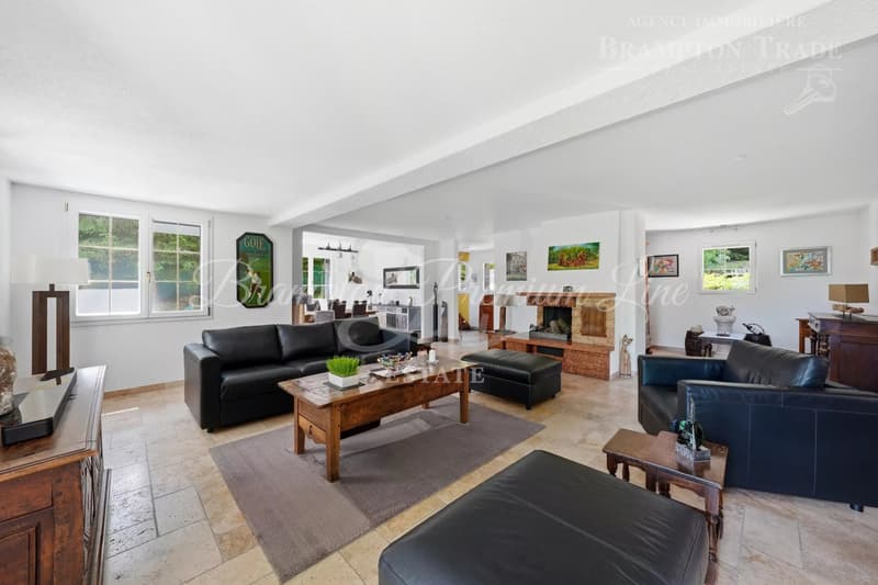 Geneva?La Côte St-Cergue | 429 sqm of usable space with a four-car garage (10)