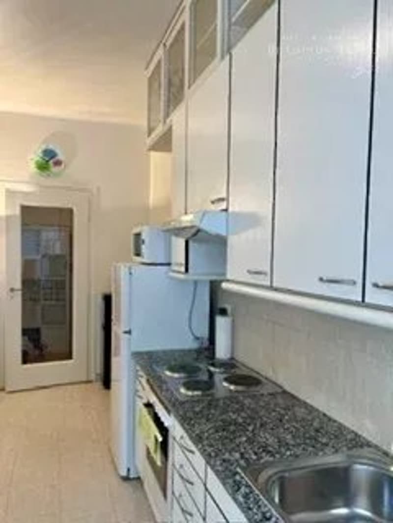Attractive one-bedroom apartment (2 rooms), for rent (2)