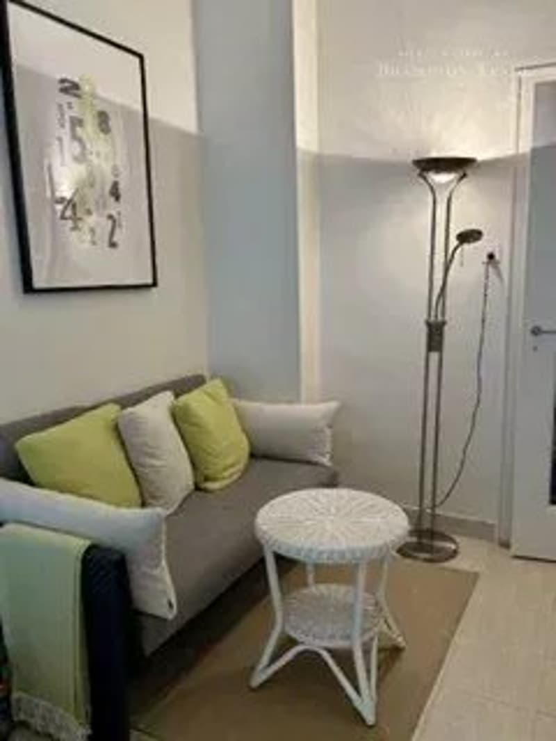 Attractive one-bedroom apartment (2 rooms), for rent (3)