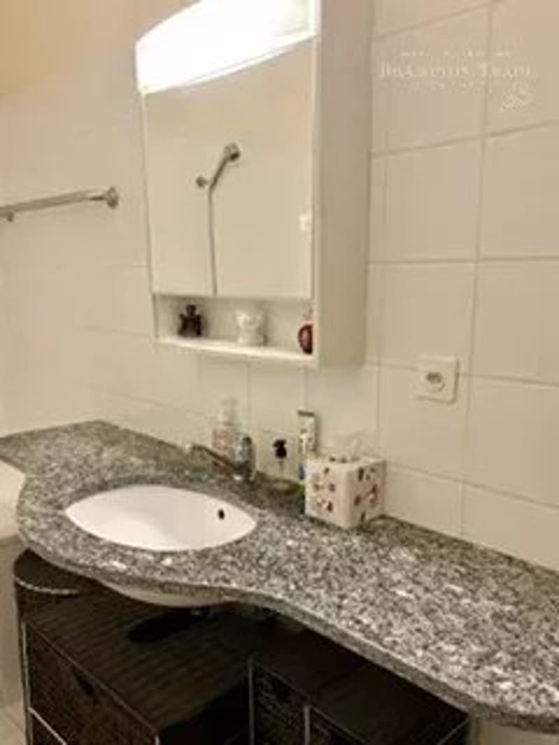 Attractive one-bedroom apartment (2 rooms), for rent (4)