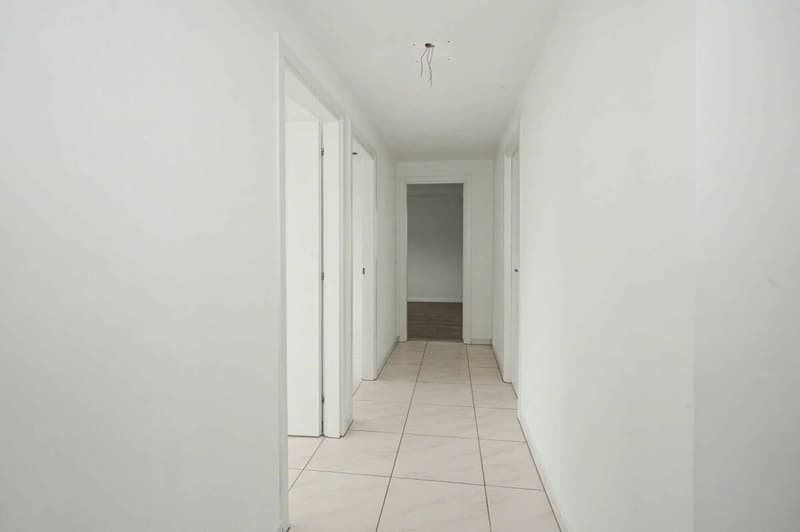 Renovated 3-room apartment in Reinach (3)