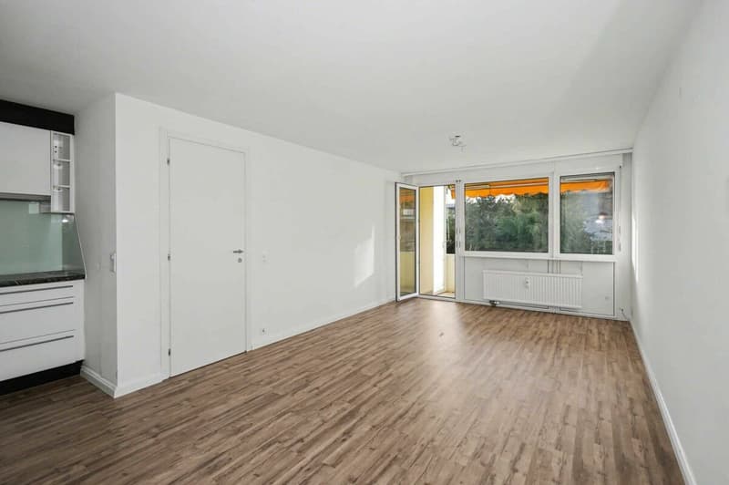Renovated 3-room apartment in Reinach (2)