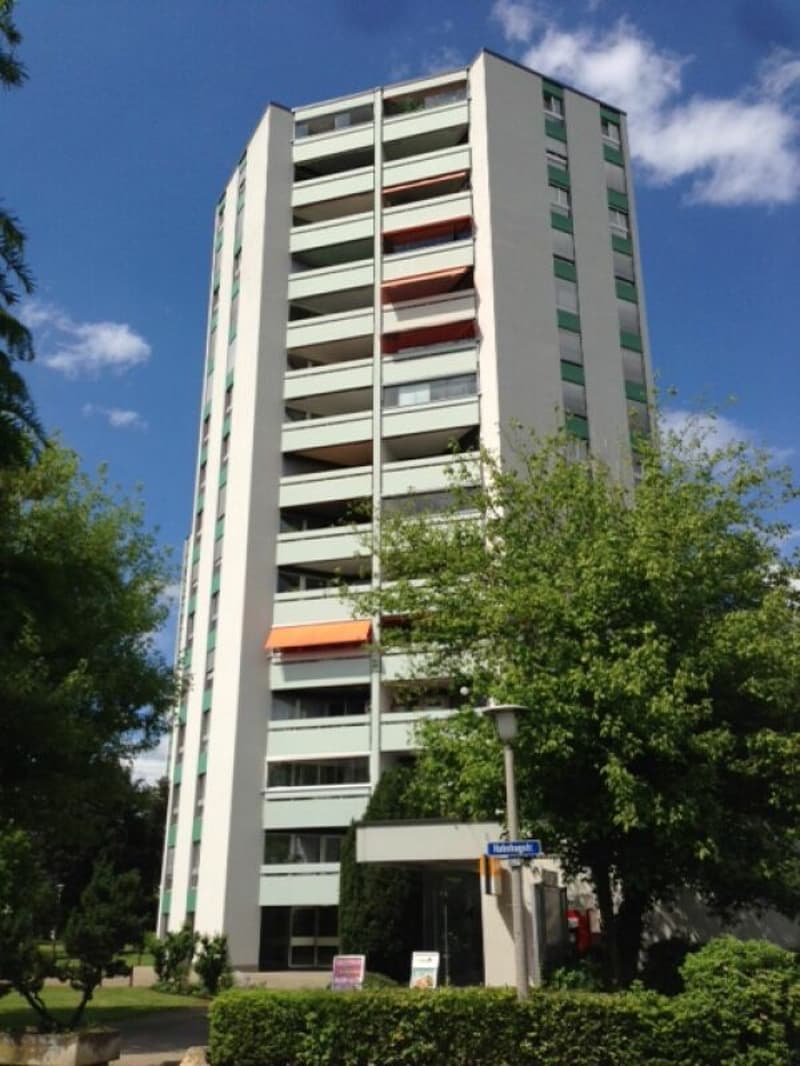 Bright, modernized 3.5-room apartment in Reinach (8)