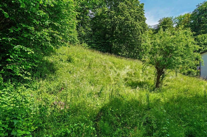 Appartamento giardino 4,5 locali a Oberwil (11)