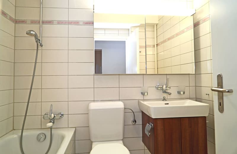 Appartement de jardin attractif à Arlesheim (6)