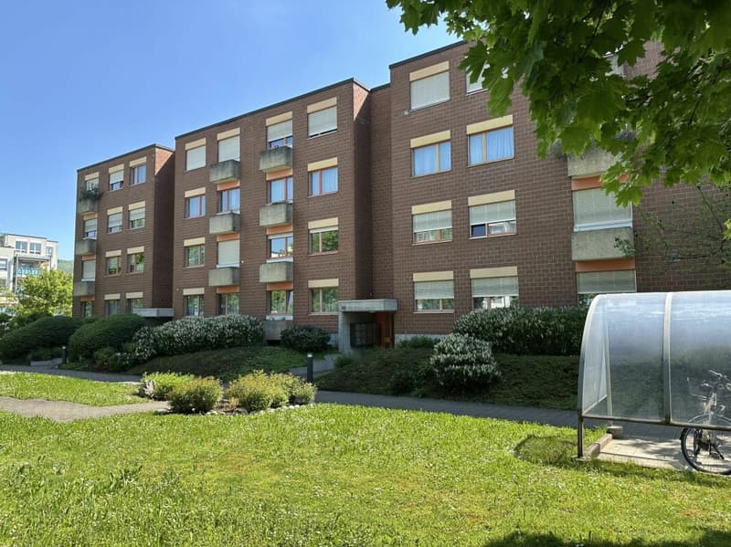 Sonnige 2.5-Zimmerwohnung mit schöner Aussicht und Einstellplatz in Aesch (1)