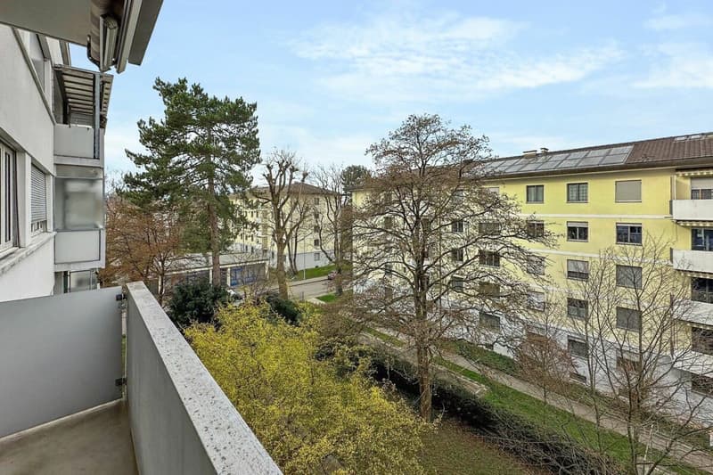 Appartamento di 4 locali luminoso nel quartiere Iselin (3)