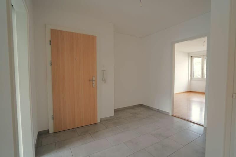 Appartamento di 4 locali luminoso nel quartiere Iselin (8)