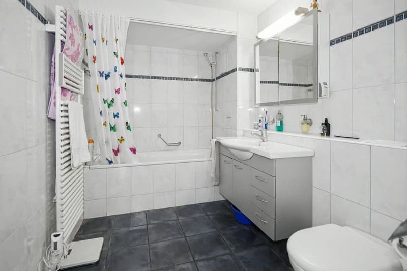 Bright 4.5-room apartment in Binningen (5)
