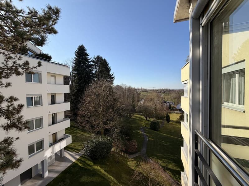Bright 4.5-room apartment in Binningen (3)