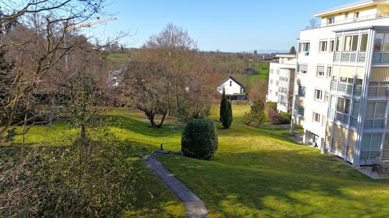 Bright 4.5-room apartment in Binningen (14)
