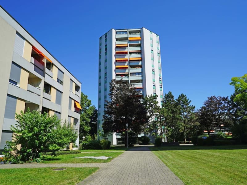 2-Zimmerwohnung mit herrlicher Aussicht in Reinach (7)