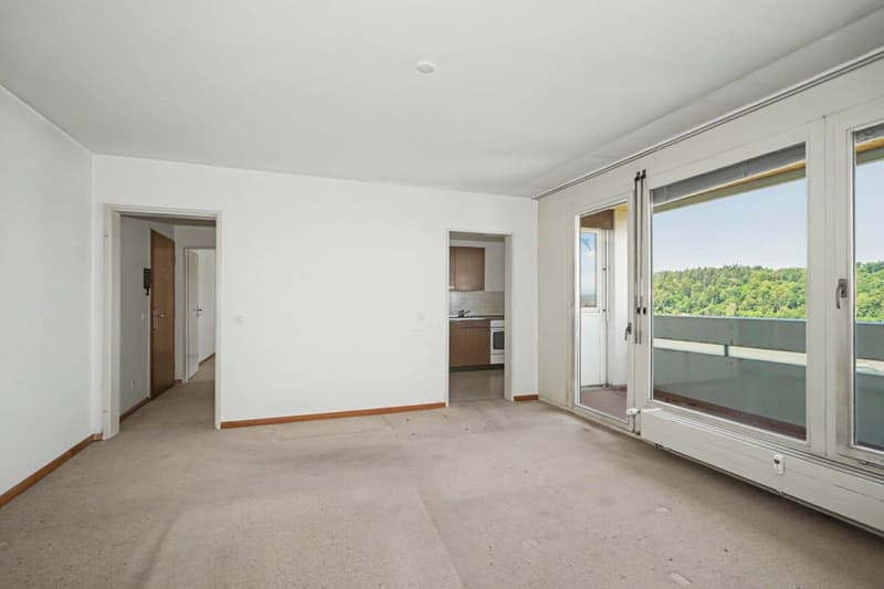 2-Zimmerwohnung mit herrlicher Aussicht in Reinach (2)