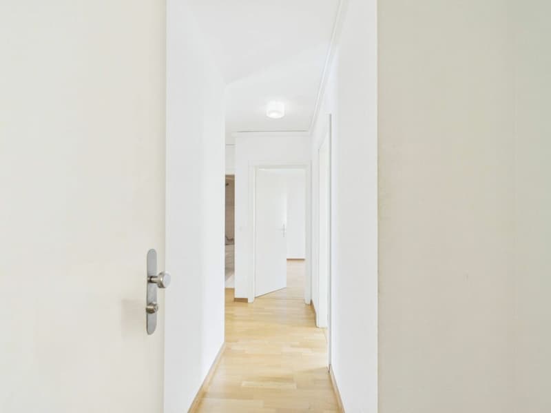 Appartamento di 2 camere nel popolare quartiere Gotthelf a Basilea (3)