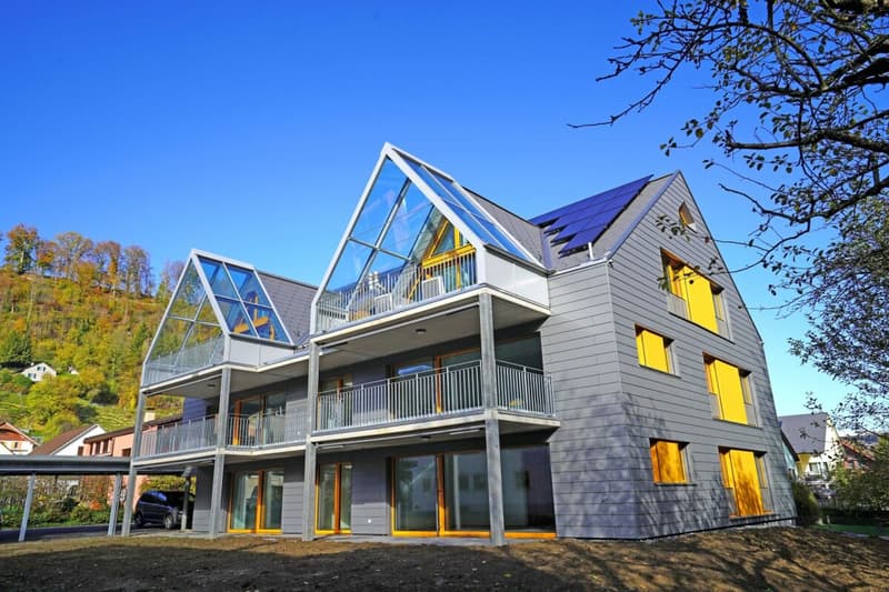 Moderne 1-Zimmerwohnung mit Gartensitzplatz in Hölstein (4)