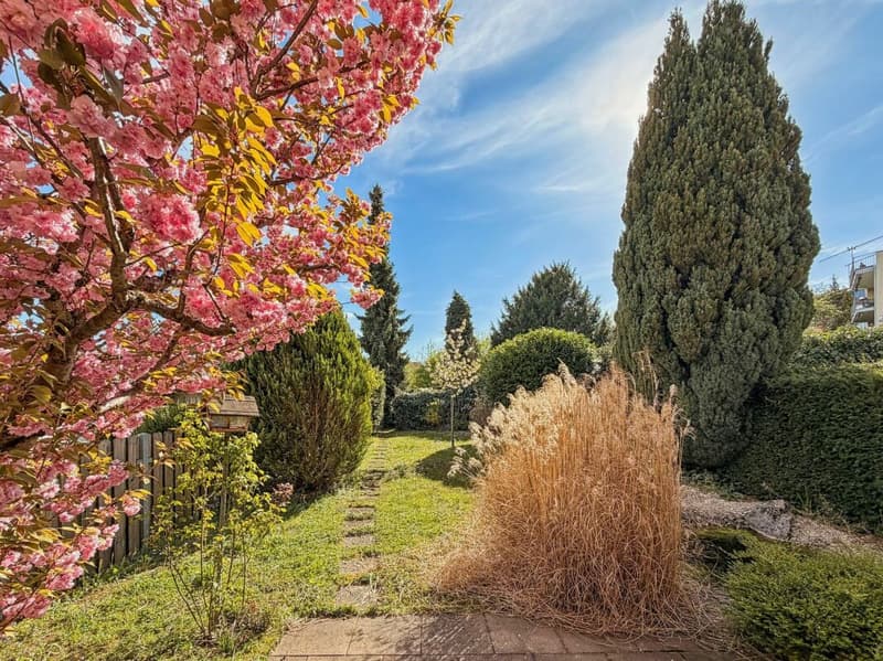 Charmantes Einfamilienhaus mit Garten (2)